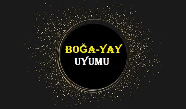 Boğa Erkeği Yay Kadını Uyumu, Boğa İle Yay Anlaşabilir Mi?