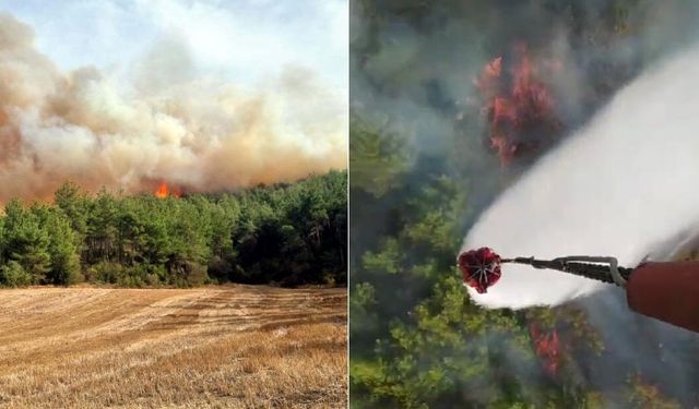 Çanakkale ve Muğla'da korkutan orman yangınları