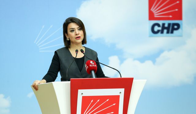 CHP'li Gamze Taşcıer'den TÜİK verilerine sert tepki