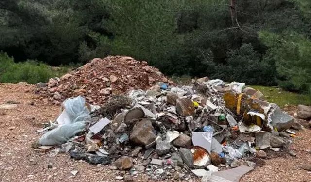 Bodrum'un ormanları moloz yığınına döndü: Hafriyat dökenlere  440 bin lira ceza kesildi