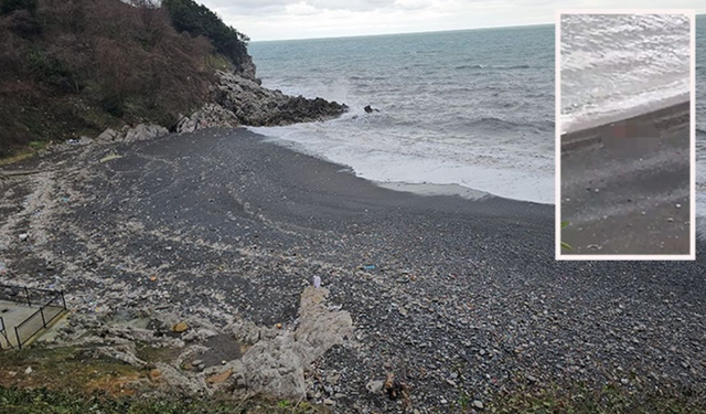 Zonguldak'ta plajda cinsel ilişki görüntülerine inceleme