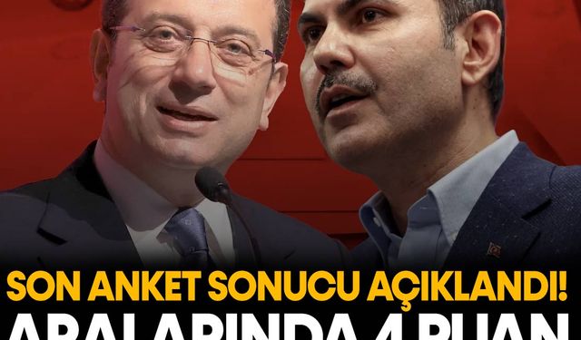 Son seçimi bilen şirket anket sonuçlarını açıkladı! İstanbul'u Ekrem İmamoğlu mu Murat Kurum mu yönetmeli?