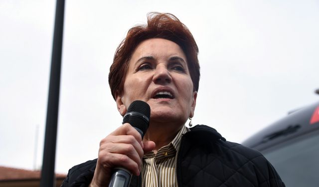 Meral Akşener'den Özgür Özel'e: Bunun adına 'Yan gel Osman' denir, çalışın kardeşim