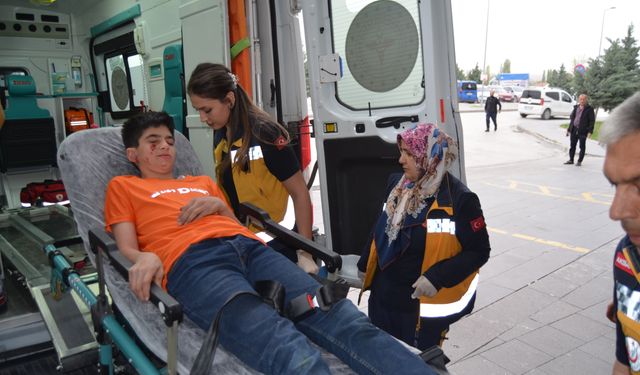 Aksaray'da köpek saldırısı: 12 yaşındaki çocuk yaralandı