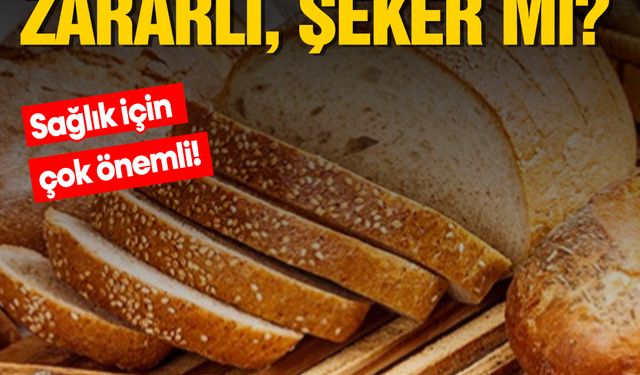 Prof. Dr. Osman Müftüoğlu açıkladı: Ekmek mi, şeker mi daha zararlı? Çay ve kahve su yerine geçer mi?