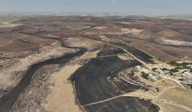 Diyarbakır- Mardin sınırındaki yangının kaynağı belli oldu! Can kaybı ise 15'e yükseldi