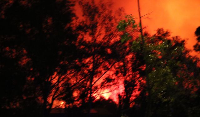 İzmir'de büyük yangın! Evler boşaltıldı, otoban trafiğe kapandı