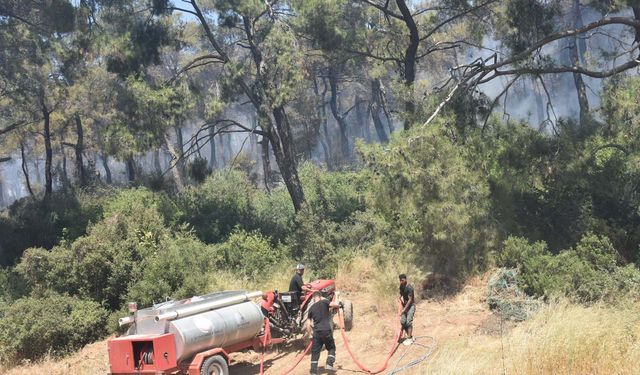 İzmir'de orman yangını! Alevler büyüdü, bir mahalle boşaltıldı