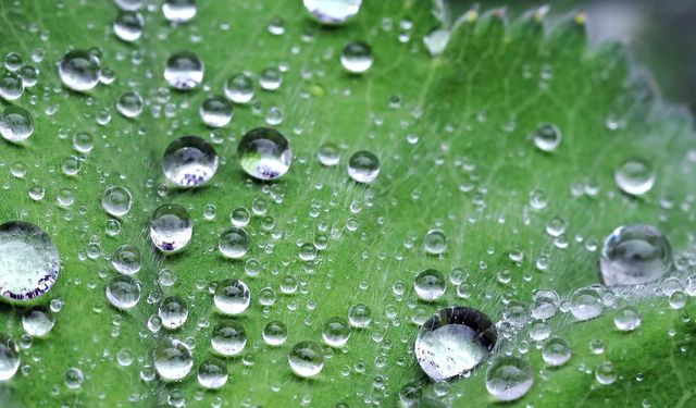 Meteorolojiden günlük hava raporu: Gök gürültülü sağanak geliyor