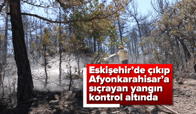 Eskişehir'de çıkıp, Afyonkarahisar'a sıçrayan yangın kontrol altında