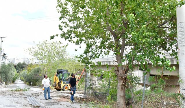 Çiğli’ye sonbahar ayarı: Çevre düzenlemeleri sürüyor, kent güzelleşiyor