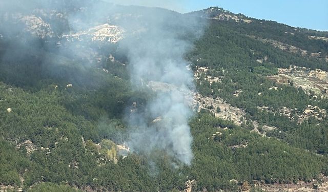 Muğla Kavaklıdere’de orman yangını çıktı