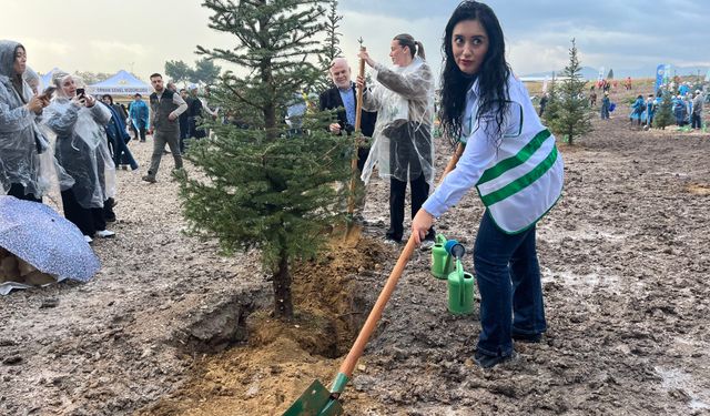 İzmir’de ağaçlandırma seferberliği: 21 noktada 115 bin fidan dikildi