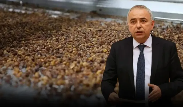 Kuru üzümde tehlike çanları: Ülkeye 10 bin ton üzüm kaçak girdi, 25 bin tonu yolda