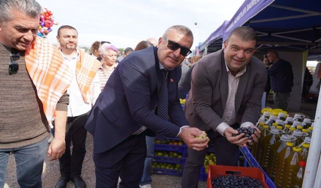 Seferihisar’da zeytin zamanı: Orhanlı Köyü'nde hasat festivali başladı