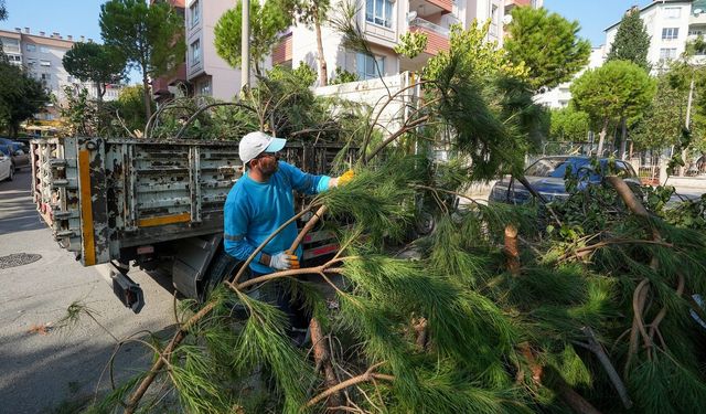İzmir'de bunu yapan yandı: Belediye duyurdu, ceza kesiliyor!