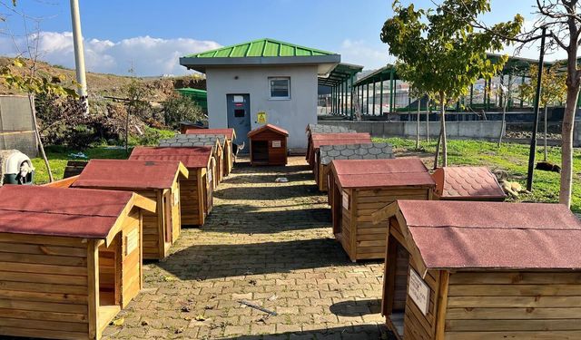 Seferihisar Belediyesi’nden can dostlara kulübe desteği