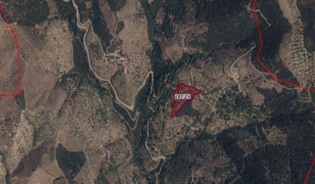 İzmir'de o alan koruma altına alındı! Tapulara şerh düşülecek