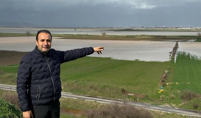 İzmir'de kuraklık sonrası çiftçi rahat nefes aldı: Torbalı’daki yağışlar üreticiye can suyu oldu