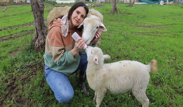 Gündüz hemşire, tatilde çiftçi: Rümeysa hastane ve çiftlik arasında mekik dokuyor