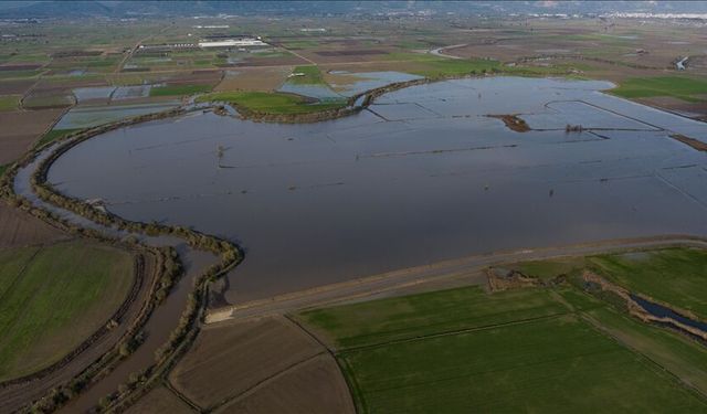 Yağış etkili oldu... Büyük Menderes Nehri yağmur sularıyla güçlendi