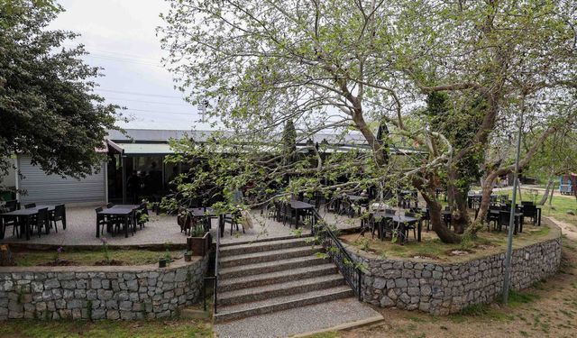 İzmir'de doğayla iç içe uygun fiyatlı mola: Buca’nın saklı güzelliği doğaseverleri bekliyor