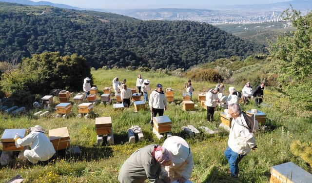 Bornova’da arıcılık kursu tamamlandı: 80 kursiyere arılı kovan desteği