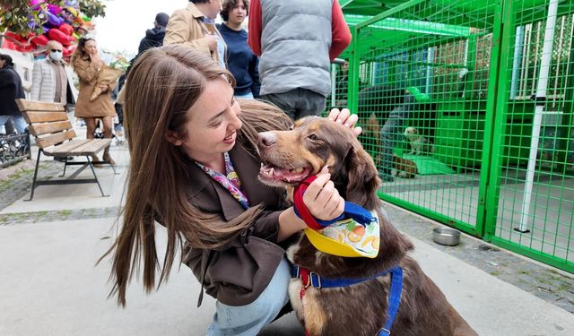 Konak’ta sahiplendirme buluşması umut oldu: 11 kedi ve köpek ömürlük yuvasını buldu