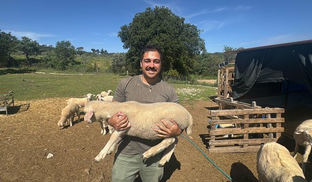 İzmir’den Muğla’ya uzanan yeni hayat: Köye yerleşti, hayvancılığa başladı