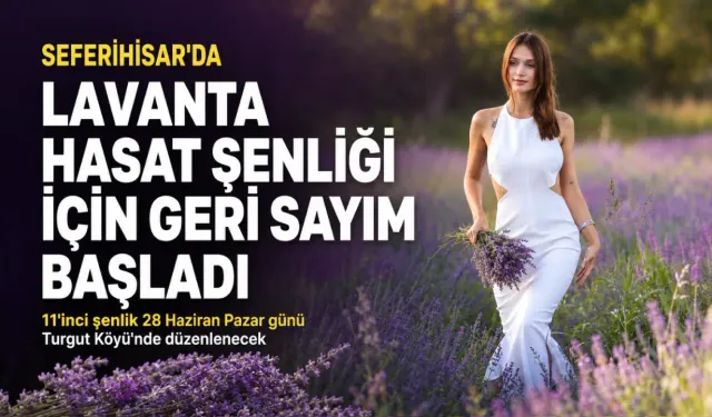 İzmir’de mor şölen başlıyor: Lavanta tarlalarına ücretsiz ulaşım