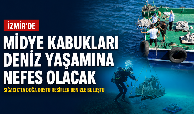Sığacık’ta doğa dostu resifler denizle buluştu: Atık midye kabuklarından İzmir kıyılarına yeni yaşam alanı
