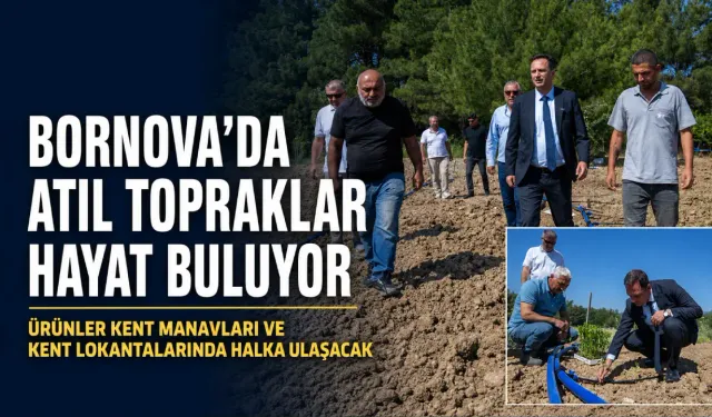 Bornova’da atıl arazi üretime açıldı: Domates, biber ve patlıcanlar Kent Manavları’na gidecek