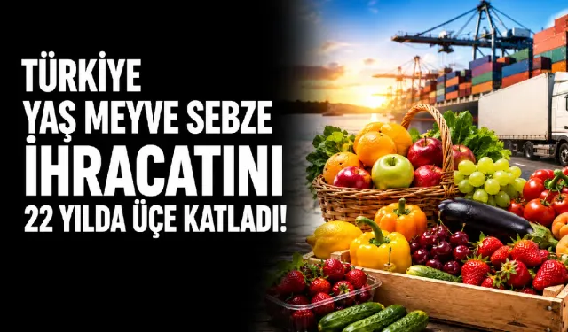 Türkiye yaş meyve sebze ihracatını 22 yılda üçe katladı, 3,7 milyon tona yaklaştı