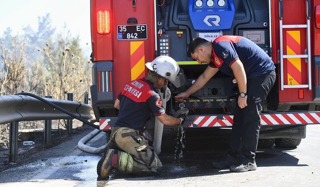 İzmir İtfaiyesi'nden yürek ısıtan müdahale: Yangından etkilenen bukalemun kurtarıldı