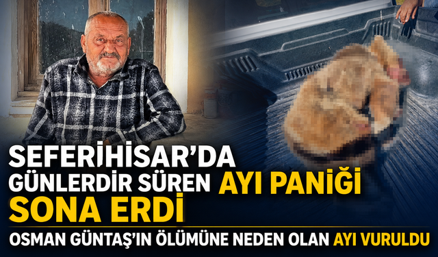 Seferihisar’da ayı paniği sona erdi: Osman Güntaş’ın ölümüne neden olan ayı vuruldu
