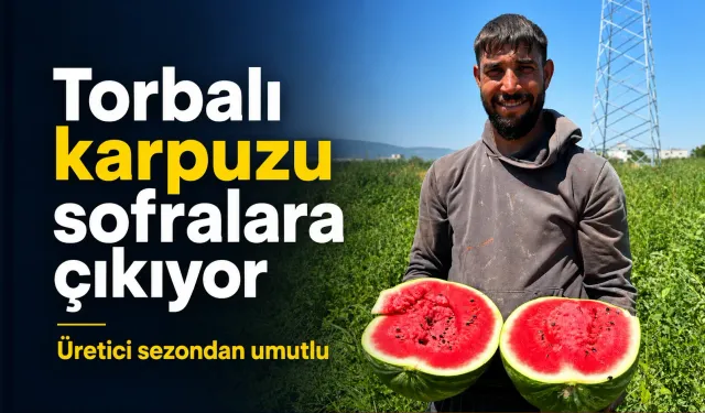 Torbalı karpuzu sofralara çıkıyor: Üretici sezondan umutlu