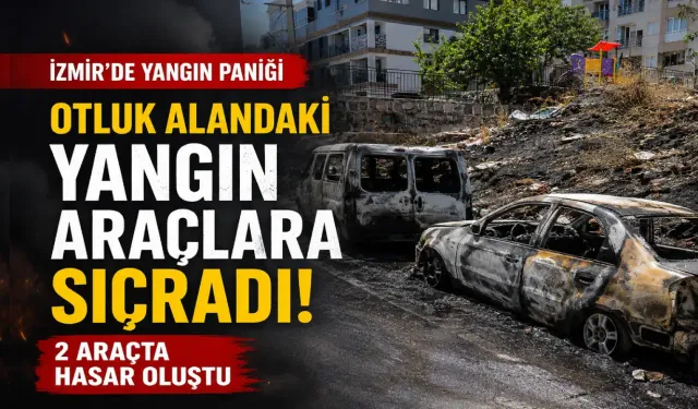 İzmir’de otluk alanda çıkan yangın 2 araca zarar verdi