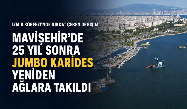 İzmir Körfezi’nde dikkat çeken değişim: 25 yıl sonra jumbo karides ağlara takıldı
