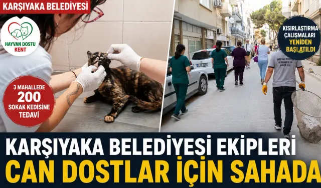 Karşıyaka Belediyesi sahipsiz hayvanlar için sahaya indi
