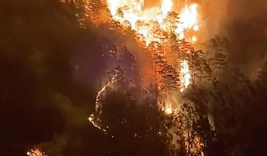Antalya'da dört alanda yangın çıktı! Yerleşim yerleri boşaltıldı