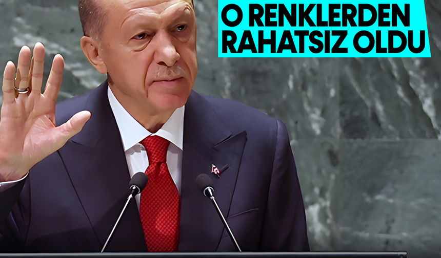 Cumhurbaşkanı Erdoğan, BM'deki o renklerden rahatsız oldu: Ne yapılmak isteniyor?