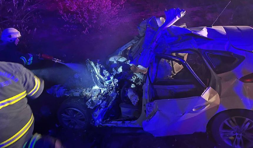 Afyonkarahisar’da trafik kazası: Otomobil sürücüsü yaşamını yitirdi