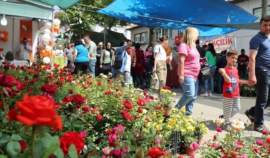 İzmir'i festival heyecanı sardı: Bayındır Çiçek Festivali için geri sayım başladı