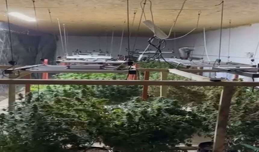 Kınık’ta depoyu Hint keneviri serasına çevirmişler! 2 şüpheli tutuklandı