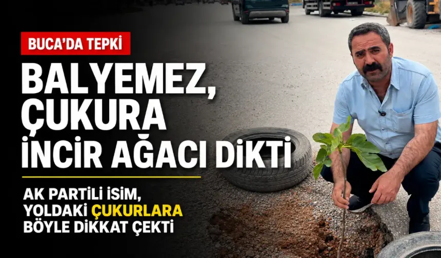AK Partili Balyemez, Buca’daki çukura incir ağacı dikti