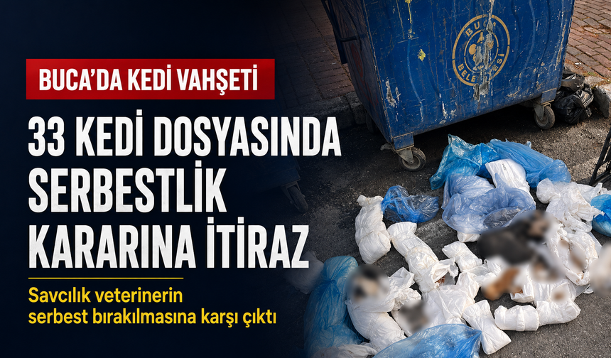 Buca’da 33 kedi ölü bulunmuştu: Veterinerin serbest kalmasına savcılıktan itiraz
