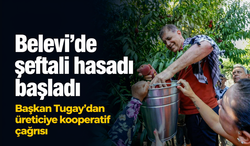 Belevi’de şeftali hasadı başladı: Başkan Tugay'dan üreticiye kooperatif çağrısı