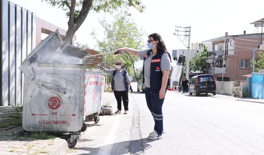 Bayraklı’da sivrisinek alarmı: Ekipler sahaya indi, park ve sokaklar ilaçlanıyor