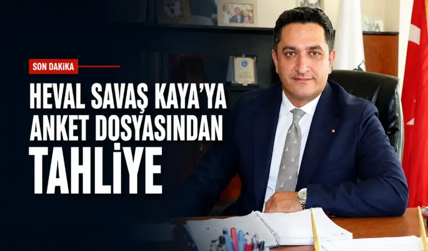 Heval Savaş Kaya’ya anket dosyasından tahliye