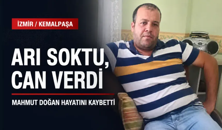 Kemalpaşa’da talihsiz ölüm: Arı sokması canından etti